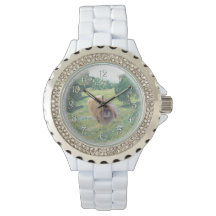 Pekingese en una pradera