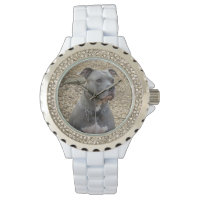 Pensando en Pitbull Women's Watch