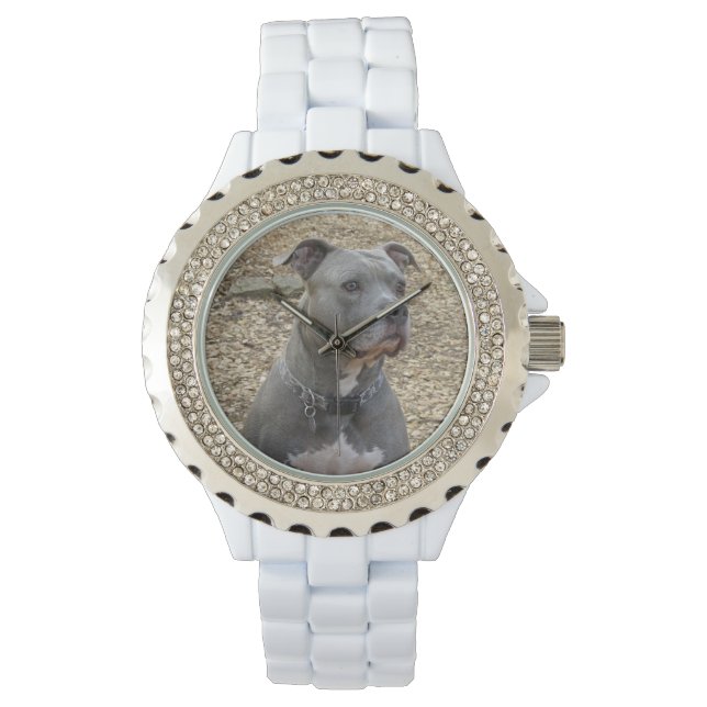 Reloj De Pulsera Pensando en Pitbull Women's Watch (Anverso)