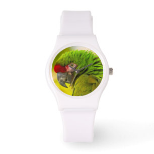 Reloj De Pulsera Perfil de guacamayo en el zoológico de Santa Bárba