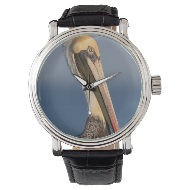 Reloj De Pulsera Perfil Pelican (Anverso)