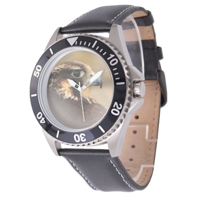 Reloj De Pulsera Perfil visto de un halcón peregrino (Angular)
