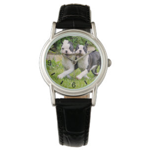 Reloj De Pulsera Perritos divertidos de Boston Terrier jugando cach