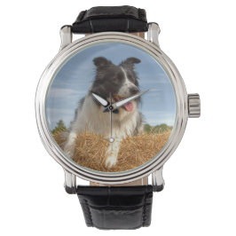 Reloj De Pulsera Perro adorable Border Collie