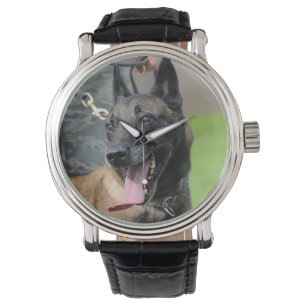 Reloj De Pulsera Perro belga malinois sonriente
