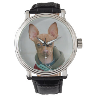 Reloj De Pulsera Perro chihuahua