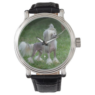 Reloj De Pulsera Perro con cresta chino alerta