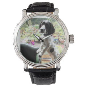 Reloj De Pulsera perro de aguas de saltador