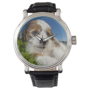 Reloj De Pulsera Perro de perrito lindo (Shitzu)