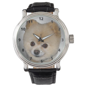 Reloj De Pulsera Perro de Pomerania