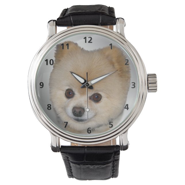 Reloj De Pulsera Perro de Pomerania (Anverso)