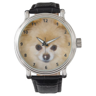 Reloj De Pulsera Perro de Pomerania