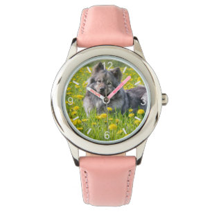 Reloj De Pulsera Perro eurasiático en pradera floriendo candeliones