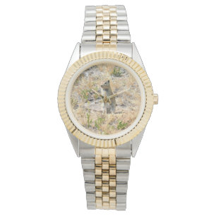 Reloj De Pulsera Perro Prairie en Yosemite, California