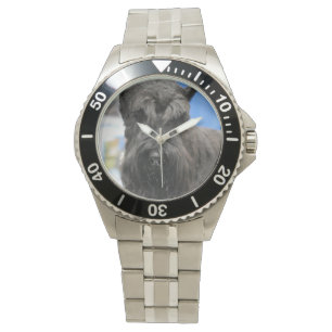 Reloj De Pulsera Perro Schnauzer