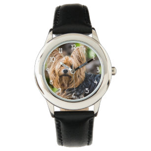 Reloj De Pulsera Perro Terrier Cute Yorkshire en el jardín
