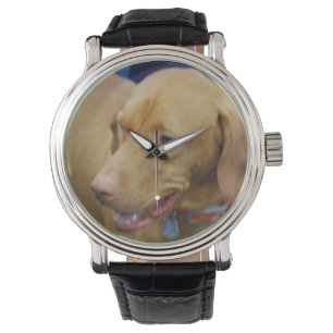 Reloj De Pulsera Perro Vizsla