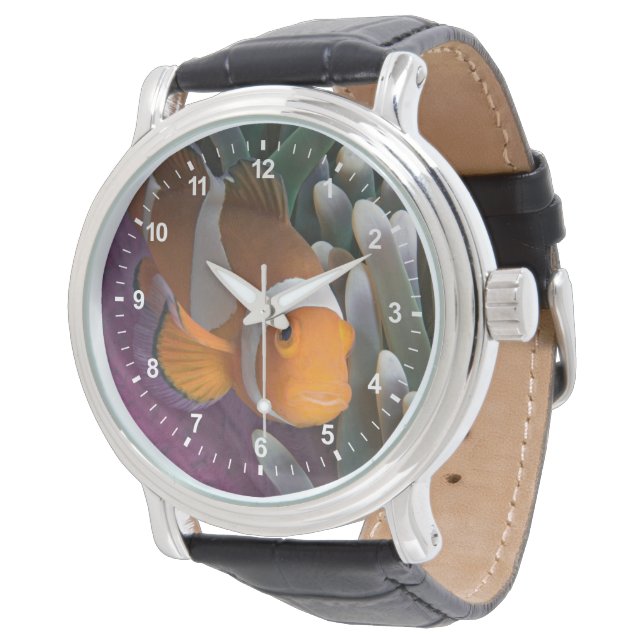 Reloj De Pulsera Pescado anemónico de Payaso Occidental (Angular)