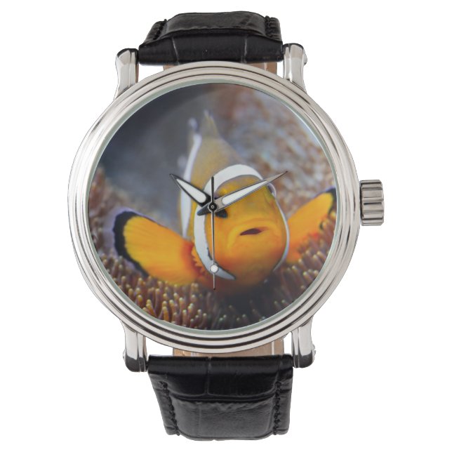 Reloj De Pulsera Pescado de arrecife tropical (Anverso)