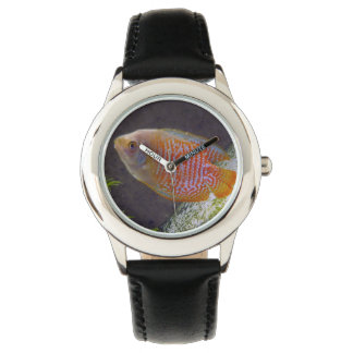 Reloj De Pulsera Pescado de Dwarf Gourami