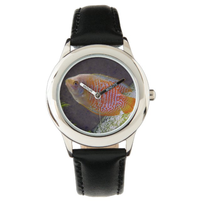 Reloj De Pulsera Pescado de Dwarf Gourami (Anverso)