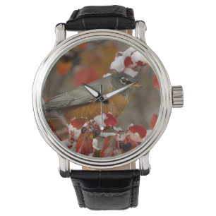 Reloj De Pulsera Petirrojo americano macho en Espino negro