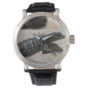 Reloj De Pulsera Petrosaurus thalassinus