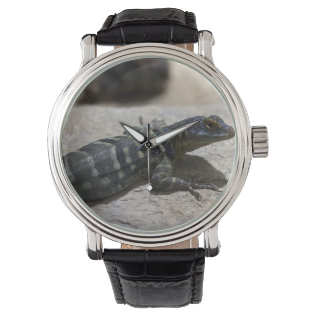 Reloj De Pulsera Petrosaurus thalassinus (Anverso)