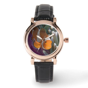 Reloj De Pulsera Pez payaso occidental de anémona