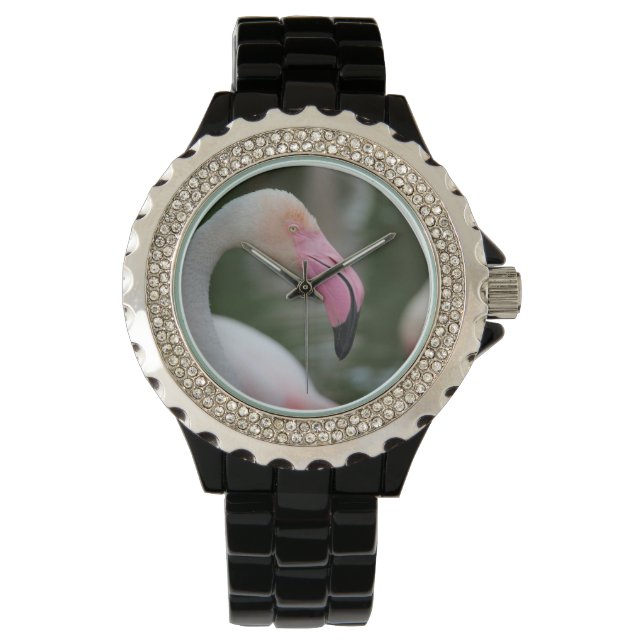 Reloj De Pulsera Phoenicopterus roseus (Anverso)
