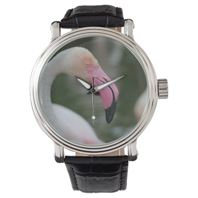 Reloj De Pulsera Phoenicopterus roseus (Anverso)