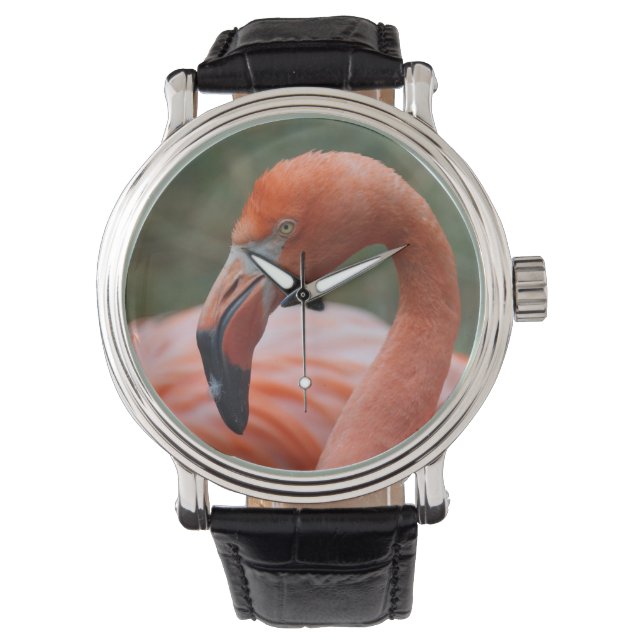 Reloj De Pulsera Phoenicopterus ruber (Anverso)