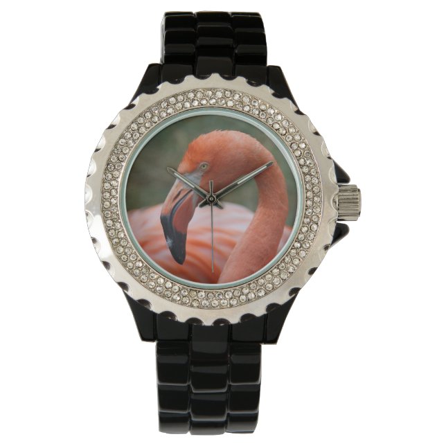 Reloj De Pulsera Phoenicopterus ruber (Anverso)