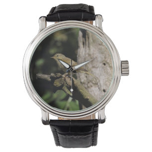 Reloj De Pulsera Phylloscopus collybita