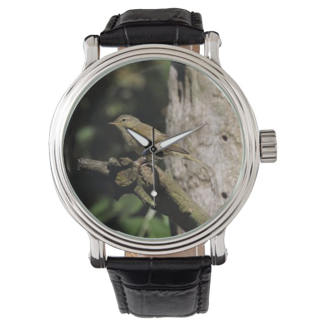 Reloj De Pulsera Phylloscopus collybita (Anverso)