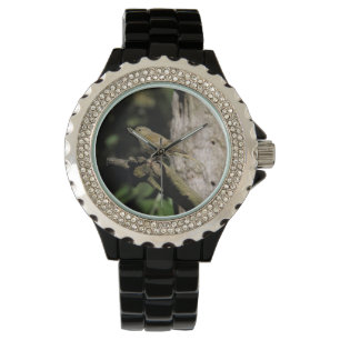 Reloj De Pulsera Phylloscopus collybita