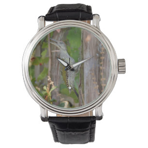 Reloj De Pulsera Picus Viridis - Grünspecht