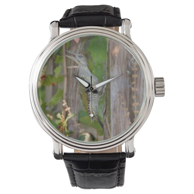 Reloj De Pulsera Picus Viridis - Grünspecht (Anverso)