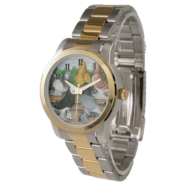Reloj De Pulsera Pigeones Tumbler del Oeste de Inglaterra (Angular)