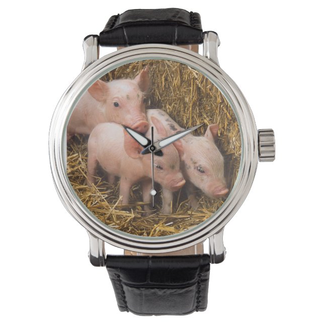 Reloj De Pulsera Piglets (Anverso)