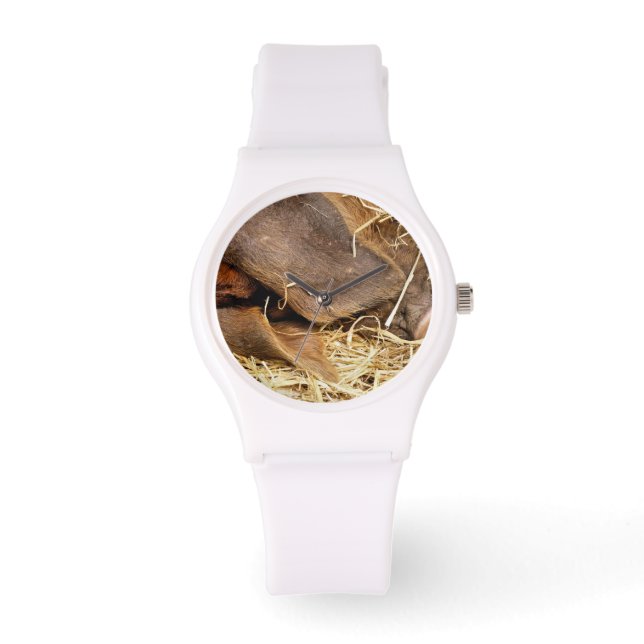 RELOJ DE PULSERA PIGS (Anverso)