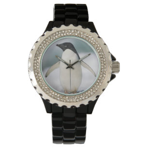 Reloj De Pulsera Pingüino de Adelie, primer plano