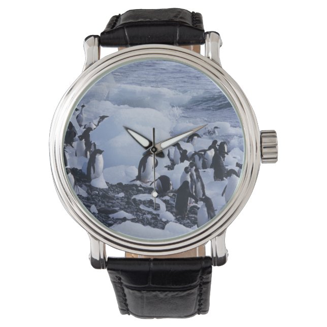 Reloj De Pulsera Pingüinos de Adelia Pygoscelis adeliae (Anverso)