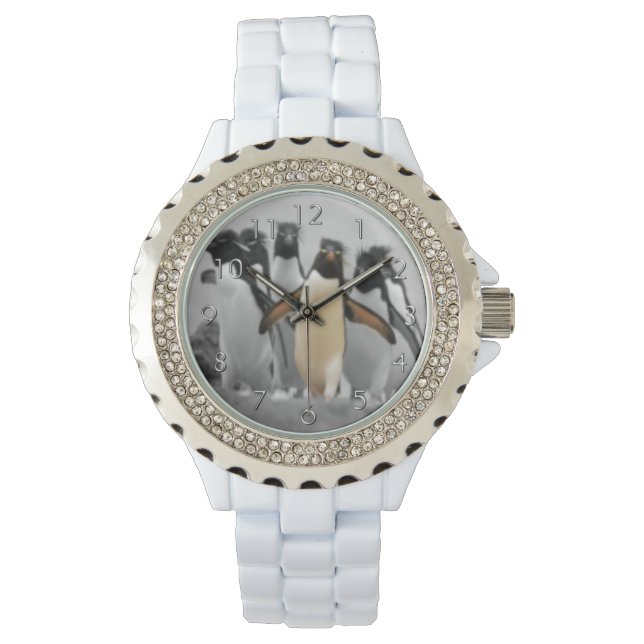 Reloj De Pulsera Pingüinos de Rockhopper (Anverso)