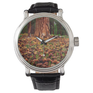 Reloj De Pulsera Pino Ponderosa maduro con conos de pino