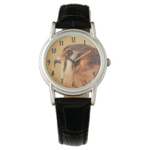 Reloj De Pulsera Pintura de cernícalo estadounidense - Arte de pája