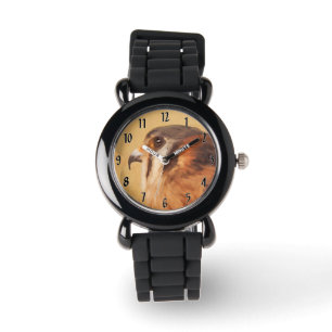 Reloj De Pulsera Pintura de cernícalo estadounidense - Arte de pája