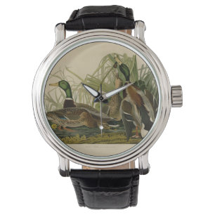 Reloj De Pulsera Pintura de pájaro de Mallard Duck Audubon