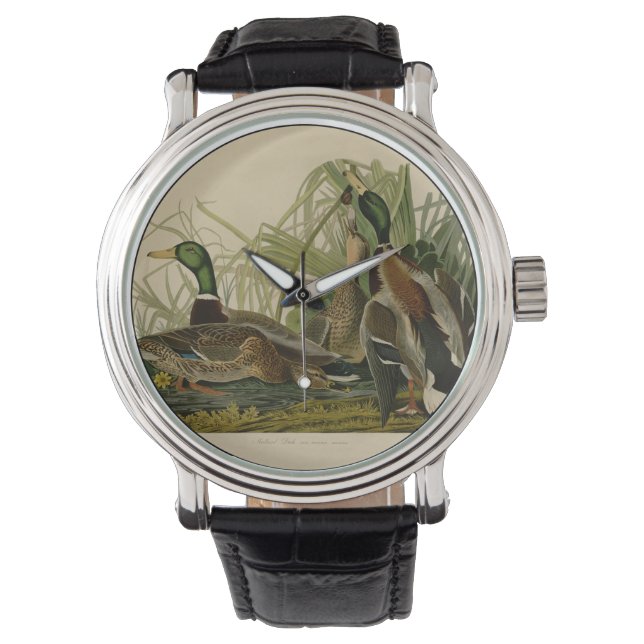 Reloj De Pulsera Pintura de pájaro de Mallard Duck Audubon (Anverso)