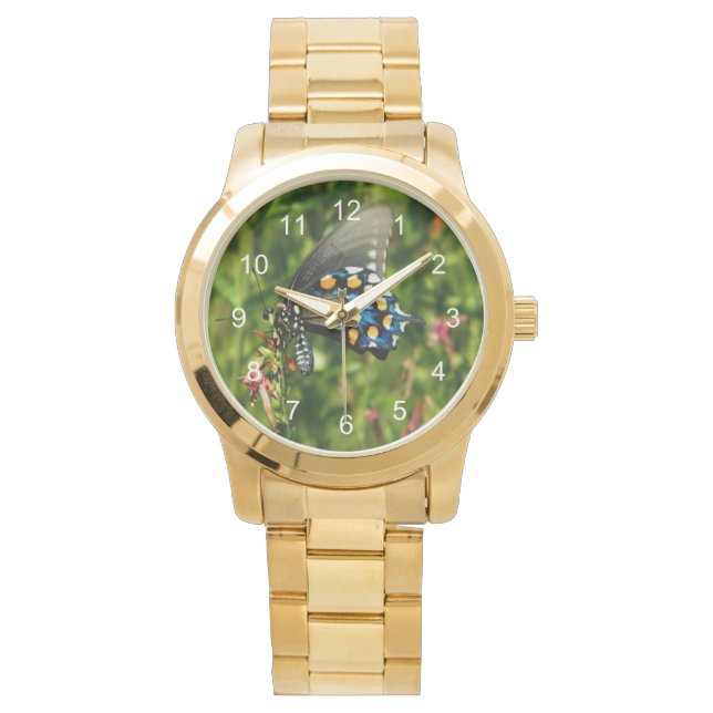 Reloj De Pulsera Pipevine Swallowtail (Anverso)